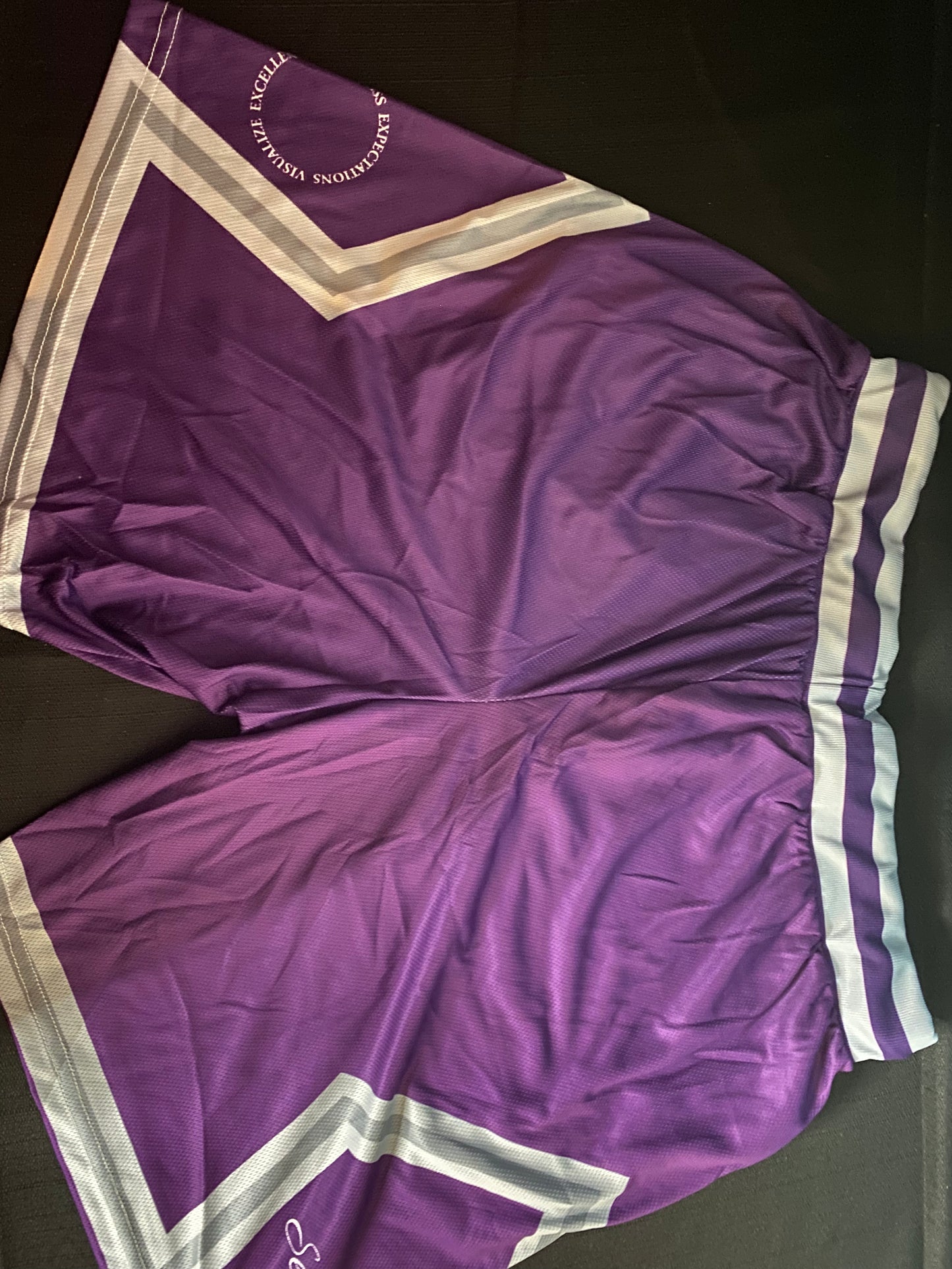 Trendsetter Purple Basketball Shorts